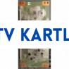 HK-Z.CX4750V41, CS0T_ST5461D04-1, HI-CC-U-C-550-05,  CX-HK-16040007-L00295,  SN055LSV59,T-CON BOARD