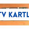 SYNC60C4LV0.3 , LTA400HA07 HA11 TCON LOGİC BOARD