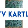 SAMSUBG UE40C7000.LTF 400HQ02,2010_R240S_MB4_0.4.T-CON BOARD