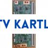 SAMSUNG 14Y_P2FU13TMGC4LV0.0 LTA550FW01,VESTEL 55CA9550 CURVED T-CON BOARD