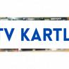 VESTEL 17MB11-2,20186813,10033547 MAİN BOARD