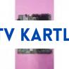 17MB25-1 , 20436076 , 10061642 , VESTEL MAINBOARD , 19 , LGETLA1